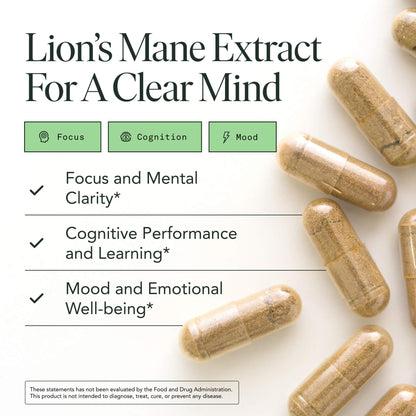 Lions Mane Mushroom Capsules – Memory, Focus & Mood Support | USDA Organic, Vegan, 120 Caps