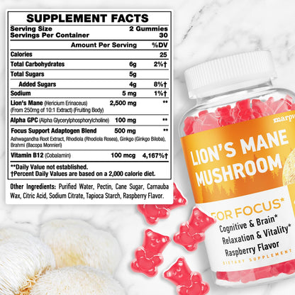 Lions Mane Gummies with Ashwagandha & Alpha GPC – Organic Lion's Mane, 60 Count