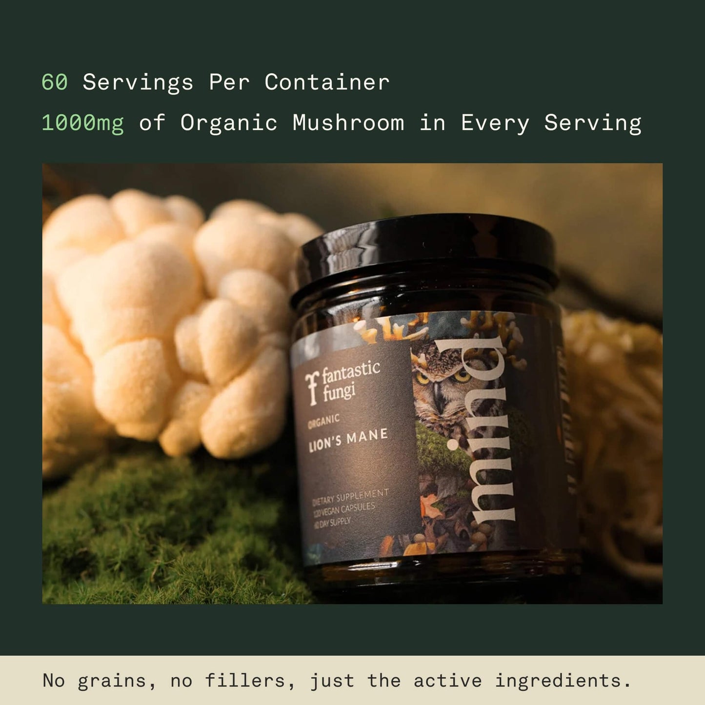 Lions Mane Mushroom Capsules – Memory, Focus & Mood Support | USDA Organic, Vegan, 120 Caps