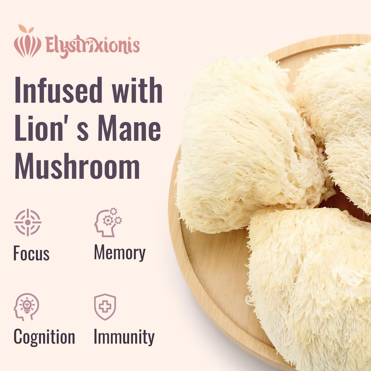 Citicoline CDP Choline Supplement for Memory & Focus | Lion's Mane 1000mg + 500mg per Serving (120 Count)