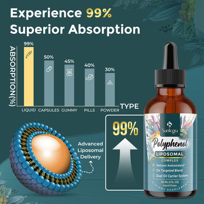 Polyphenols Liposomal Drops – 27+ Polyphenols, MCT & Olive Oil (240 ml)