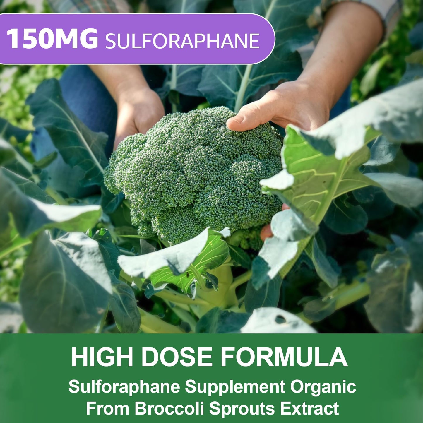150mg Liposomal Sulforaphane Gummies from Broccoli Sprouts Extract – Myrosinase, Vitamin C & E | Antioxidant, Detox & Cellular Health | 60 Counts