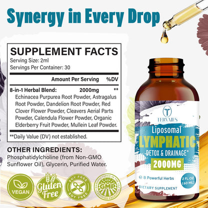 Liposomal Lymphatic Drops – Herbal Blend with Elderberry & Echinacea (2 FL OZ)