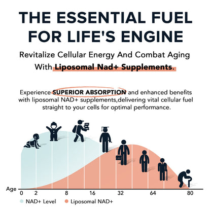 1600 mg Liposomal NAD+ Supplement – 98% Pure NAD+ | Superior Absorption | 120 Softgels