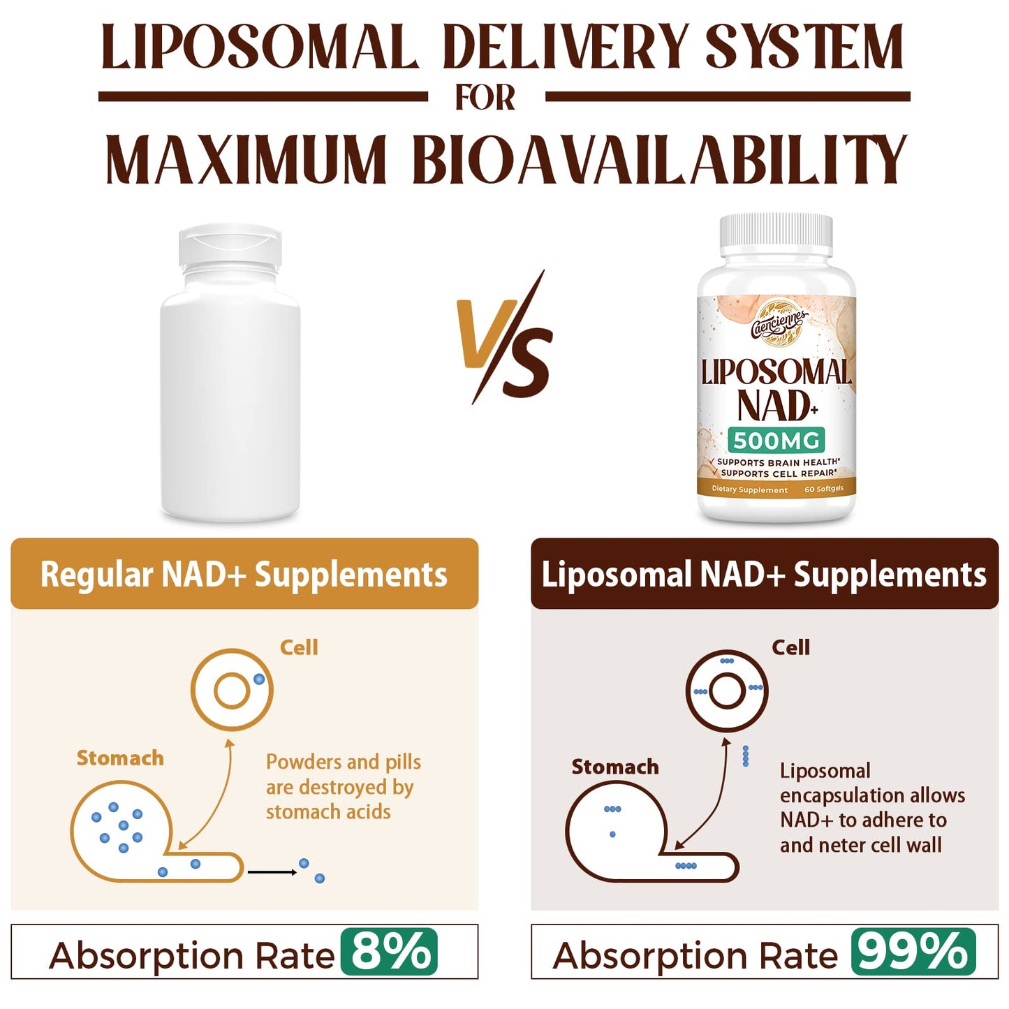 Caenciennes Liposomal NAD+ 500 mg Supplement — True NAD+, Superior Absorption, 240 Servings