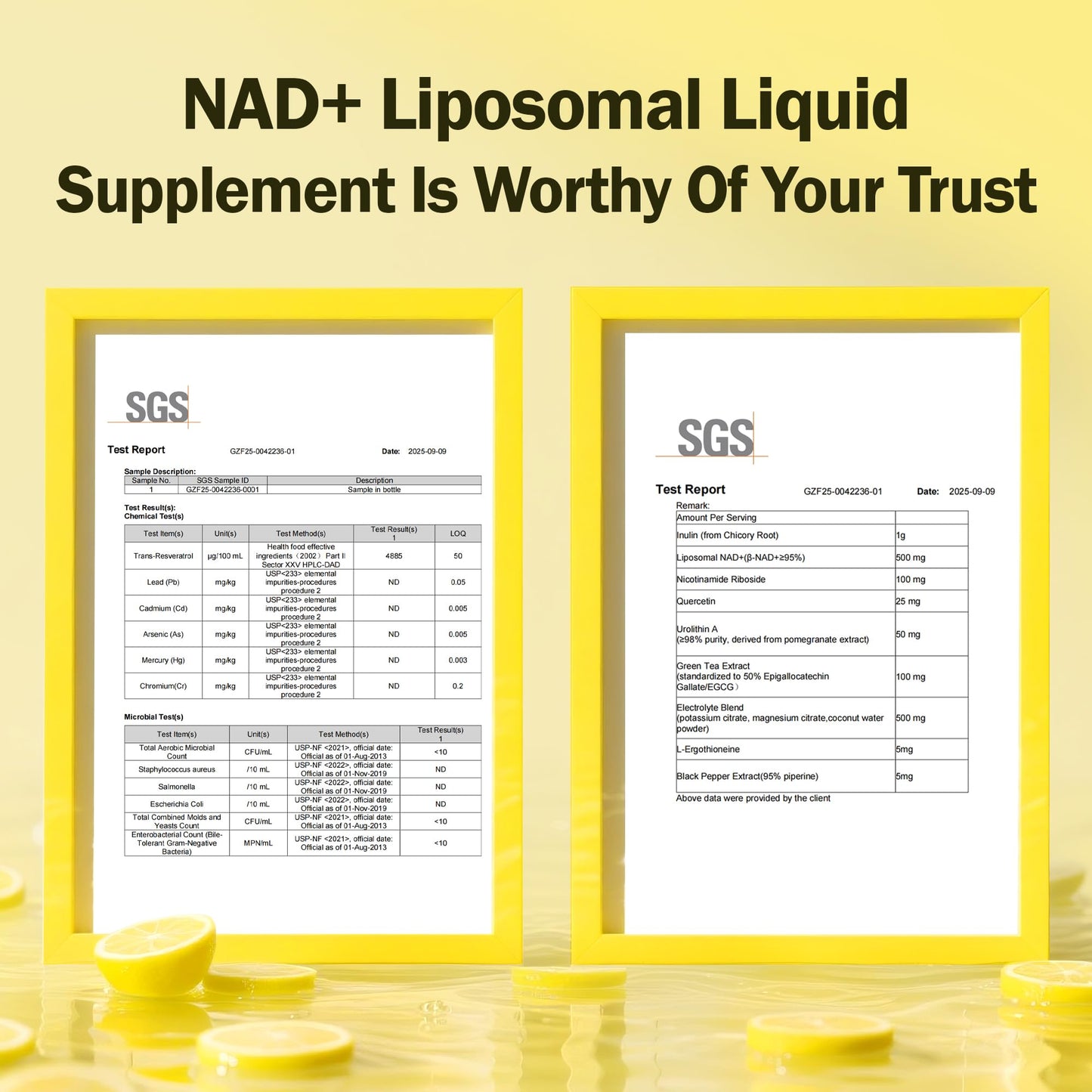 Liposomal NAD+ Liquid Supplement – Enhanced Cellular Uptake, Normal Cellular Health & Vitality (Lemon Flavor)
