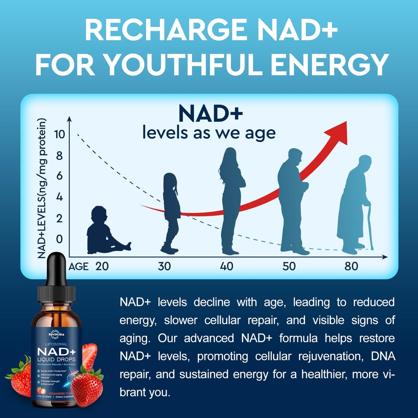 Liposomal NAD+ Liquid – NR, PQQ, Resveratrol, CoQ10 (Strawberry) 2 oz