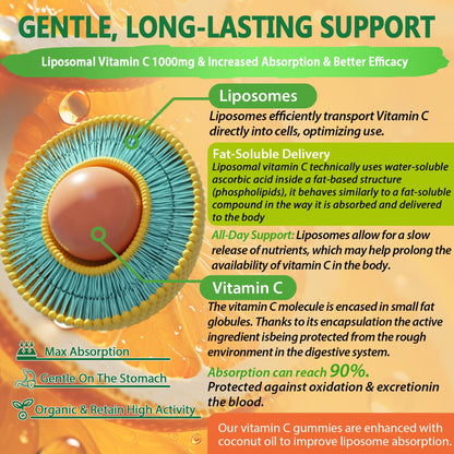 Liposomal Vitamin C 1000mg Gummies for Adults – Immune Support