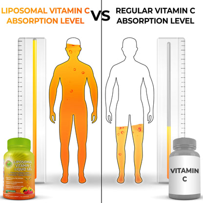 Liposomal Vitamin C 1100mg Liquid Gel Capsules – Organic Acerola Cherries | 120 ct