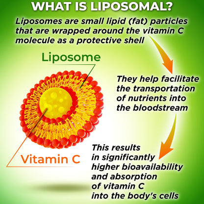 Liposomal Vitamin C 1100mg Liquid Gel Capsules – Organic Acerola Cherries | 120 ct