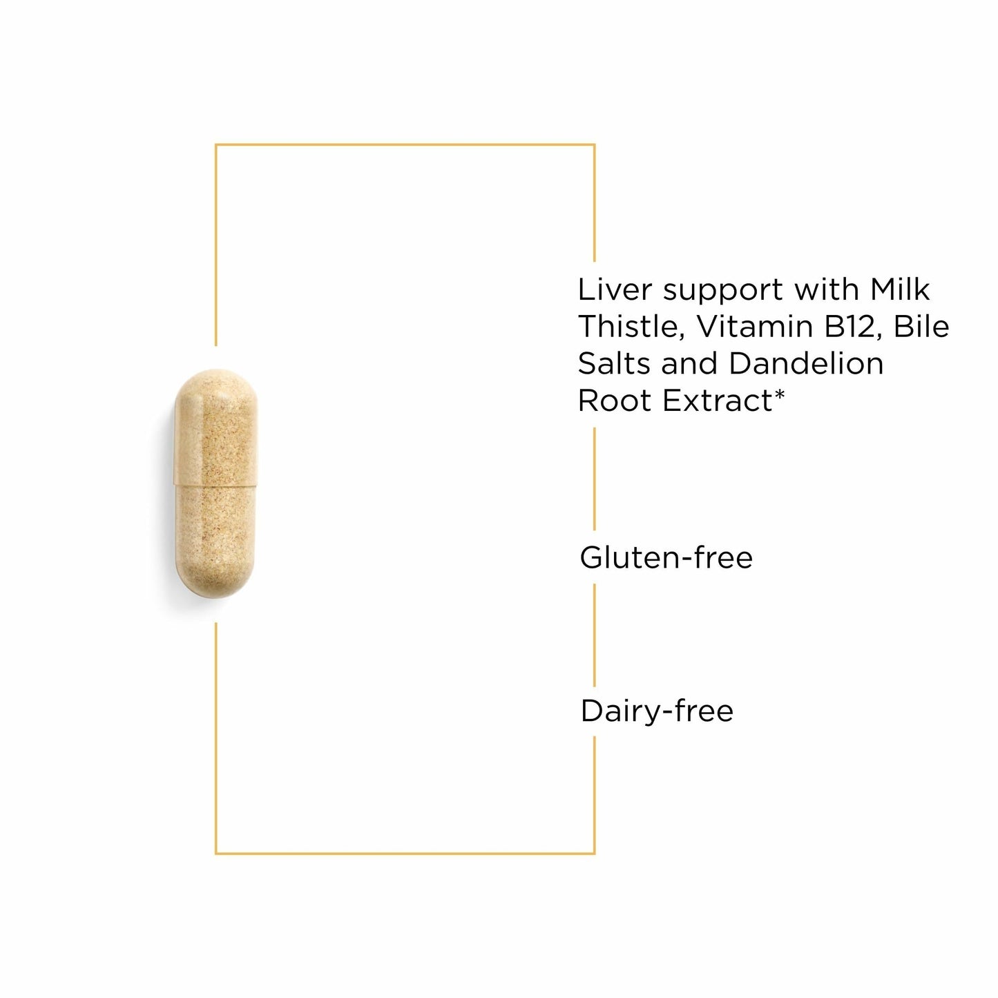 Integrative Therapeutics Lipotropic Complex - Liver Support Supplement for Adults* | Milk Thistle, Vitamin B6 & B12 | Gluten-Free & Dairy-Free - 90 Count (45 Servings)