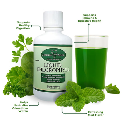 Liquid Chlorophyll 16oz. | Natural Mint Flavor | Immune Health | Intestinal Support