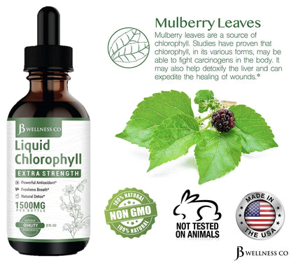 [2-Pack] Liquid Chlorophyll Drops – All-Natural Concentrate for Immune Support, Energy & Digestion | Mulberry Leaves - 240 Servings