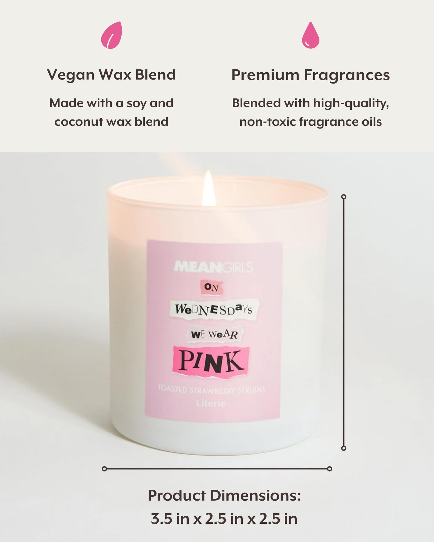 Literie Mean Girls Inspired Scented Candle – On Wednesdays We Wear Pink, 9oz, 50-Hour Burn (Vegan Soy & Coconut Wax)