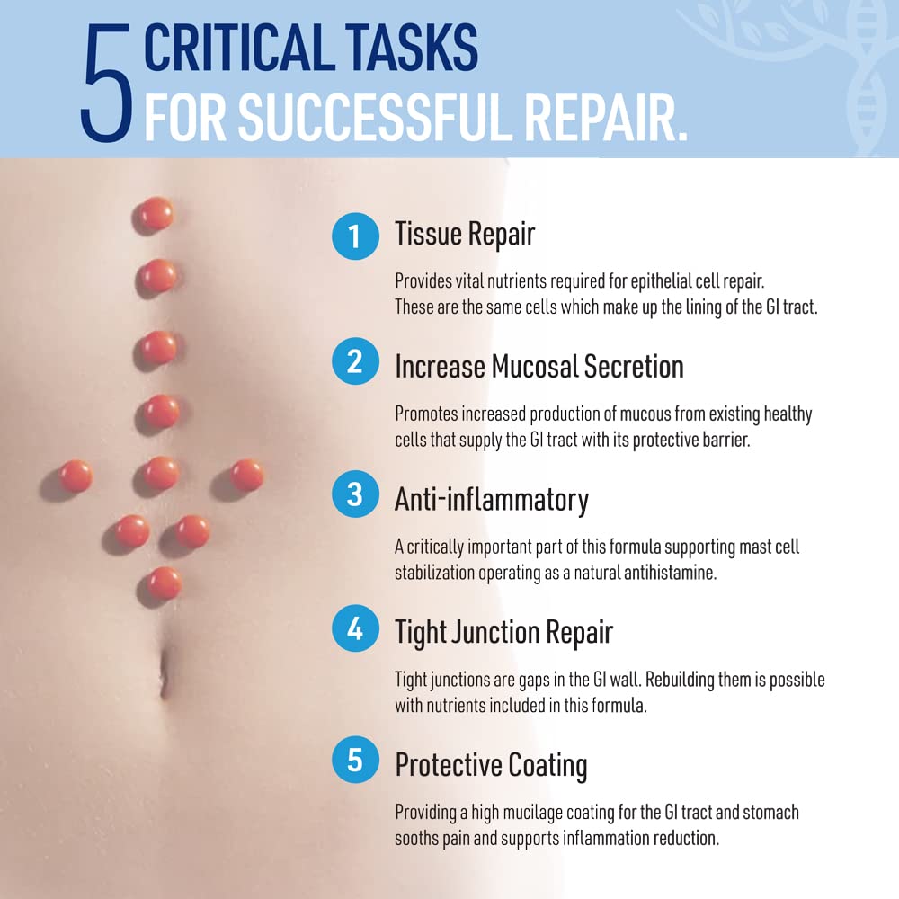 Liver Medic Leaky Gut Repair – Natural Gut Health Support (1000mg, 120 Caps)
