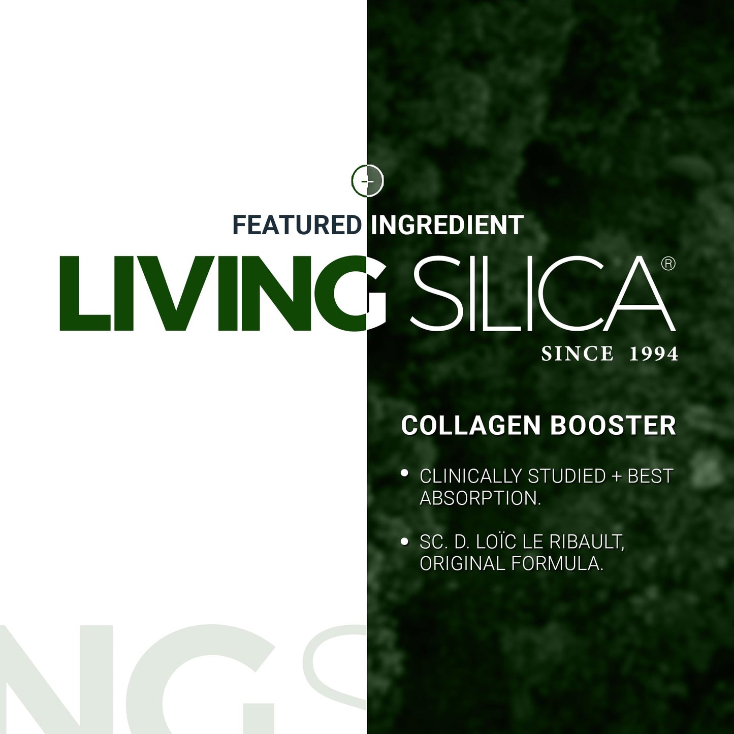 Living Silica Plant-Based Collagen Booster | Vegan | 500 ml