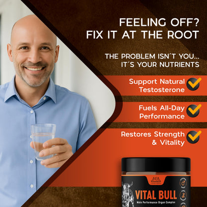 Lonvera Vital Bull Beef Organ Supplement for Men – Grass-Fed Liver, Testicle, Prostate & Bone Marrow | 30 Day Supply