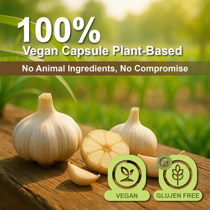 LOVITA Odorless Garlic Capsules – 5000mg Fresh Garlic Equivalent, 1.25% Allicin | Heart Health & Immune Support | Vegan, Non-GMO, Gluten-Free | 300 Capsules