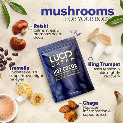 Lucid Dream Mushroom Hot Cocoa for Sleep – Nighttime Adaptogen Blend with Melatonin | 7.94 oz Chocolate