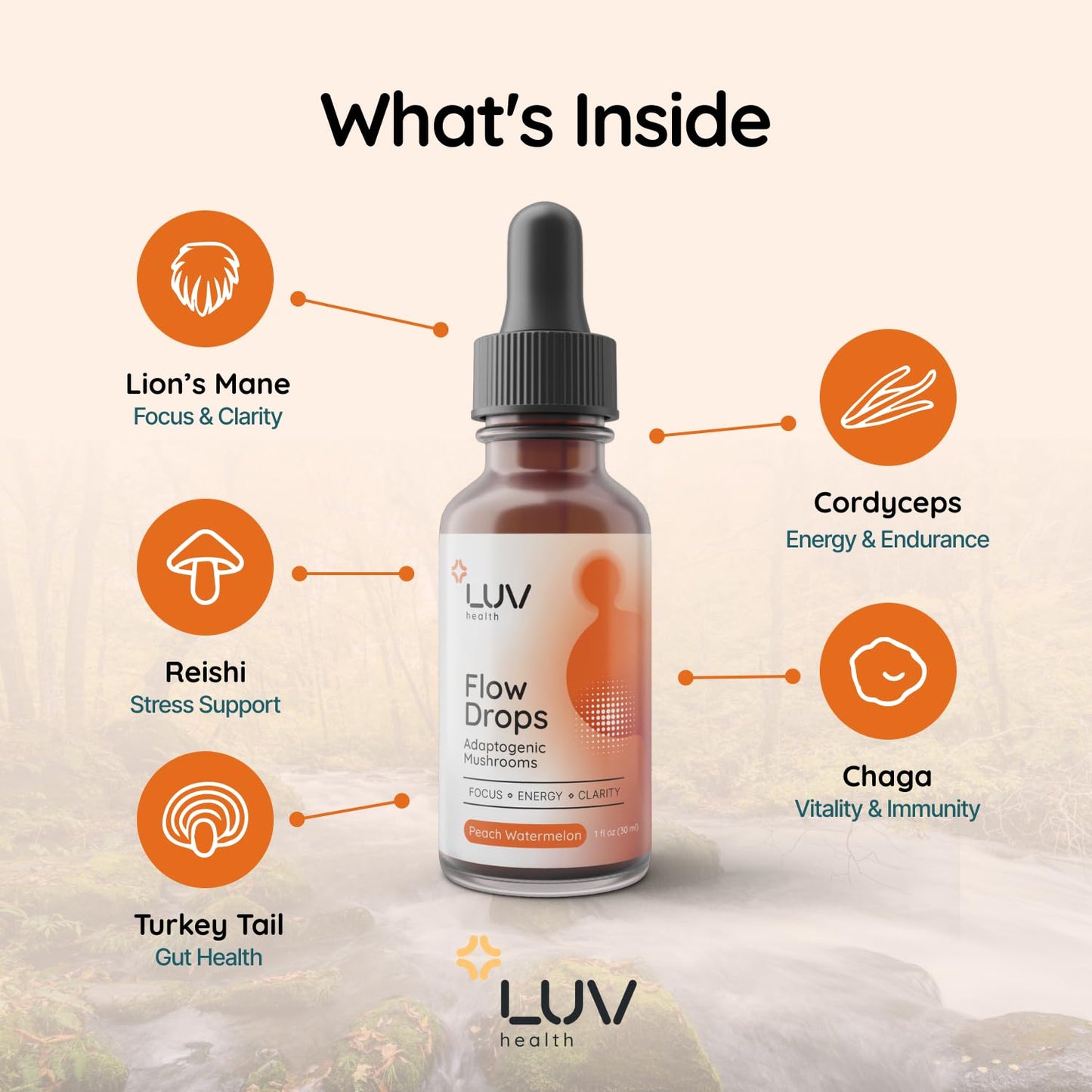 LUV health Flow Drops® – Energy, Focus & Immune Support with Adaptogenic Mushrooms | Made in USA | 90 Servings