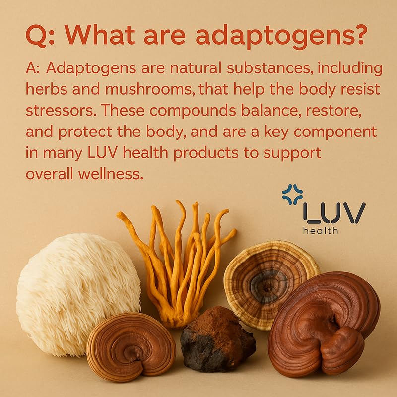LUV health Flow Drops® – Energy, Focus & Immune Support with Adaptogenic Mushrooms | Made in USA | 90 Servings