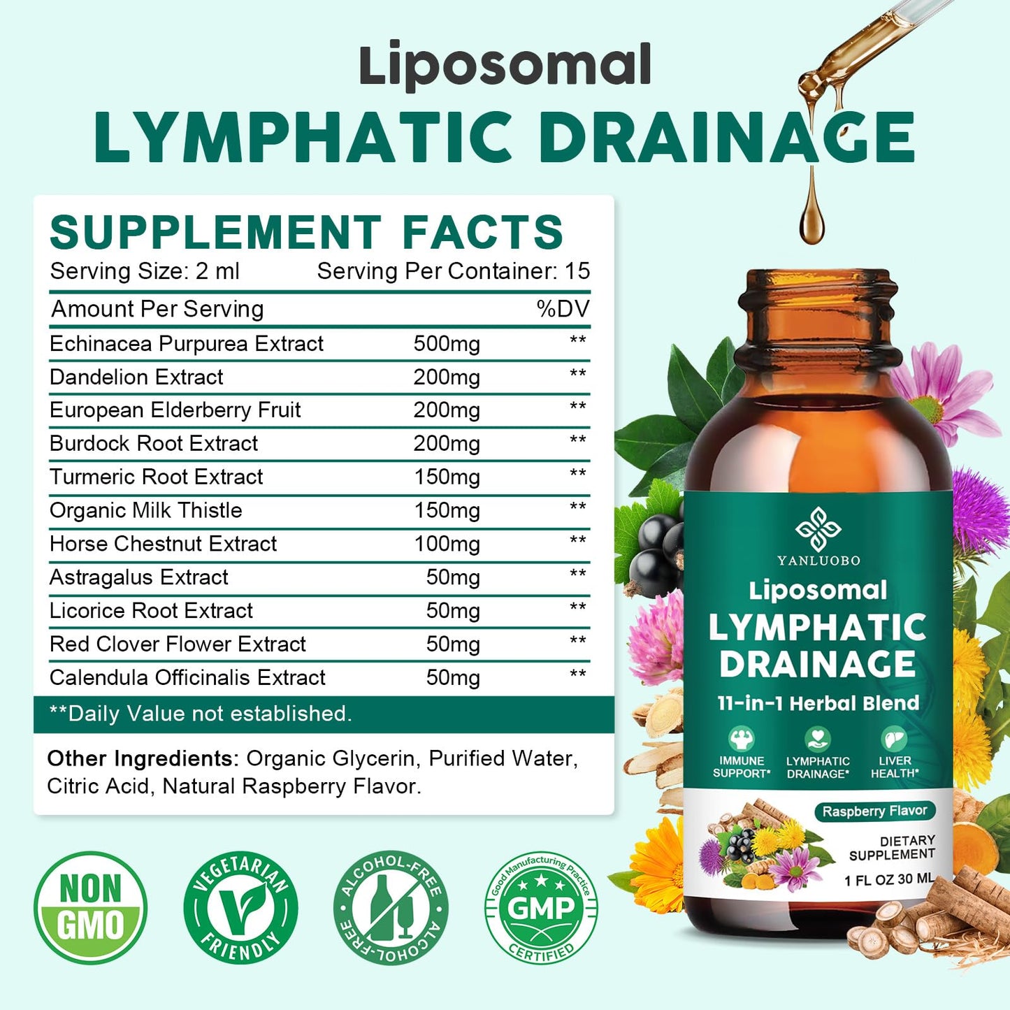 Lymphatic Drainage Drops - 11 in 1 Lymphatic Supplement for Immune, Lymph System & Liver Detox - with Echinacea, Horse Chestnut, Dandelion, Elderberry & Burdock - Raspberry Flavor, Vegan, 2 Fl Oz