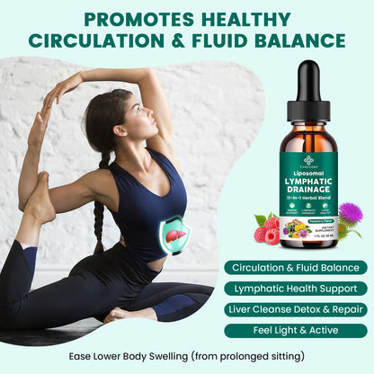 Lymphatic Drainage Drops - 11 in 1 Lymphatic Supplement for Immune, Lymph System & Liver Detox - with Echinacea, Horse Chestnut, Dandelion, Elderberry & Burdock - Raspberry Flavor, Vegan, 2 Fl Oz