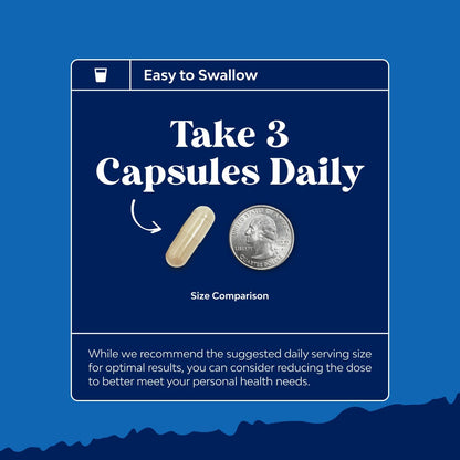 Pre-Conception Male Fertility Supplement | Sperm Motility & Volume Booster