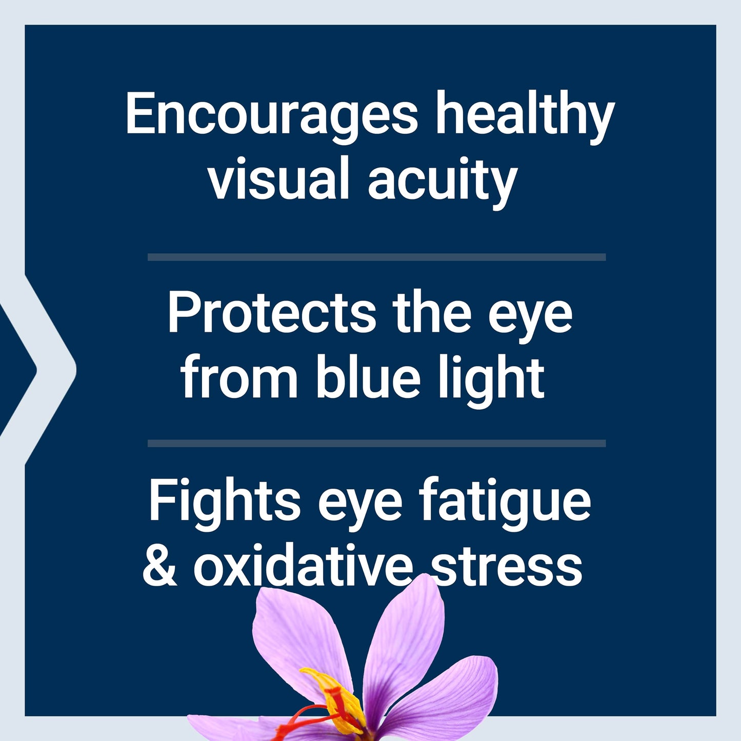 Life Extension MacuGuard Ocular Support – Eye Health with Lutein, Zeaxanthin, Meso‑Zeaxanthin, Saffron & Astaxanthin | 60 Softgels