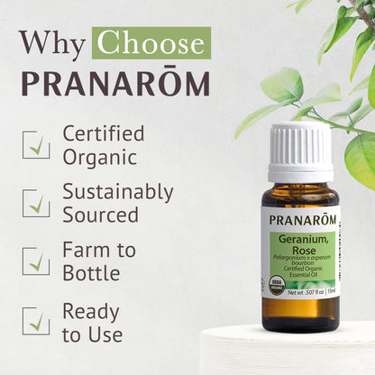 Pranarom Rose Geranium Essential Oil 5ml – 100% Pure, Organic, USDA & ECOCERT Certified