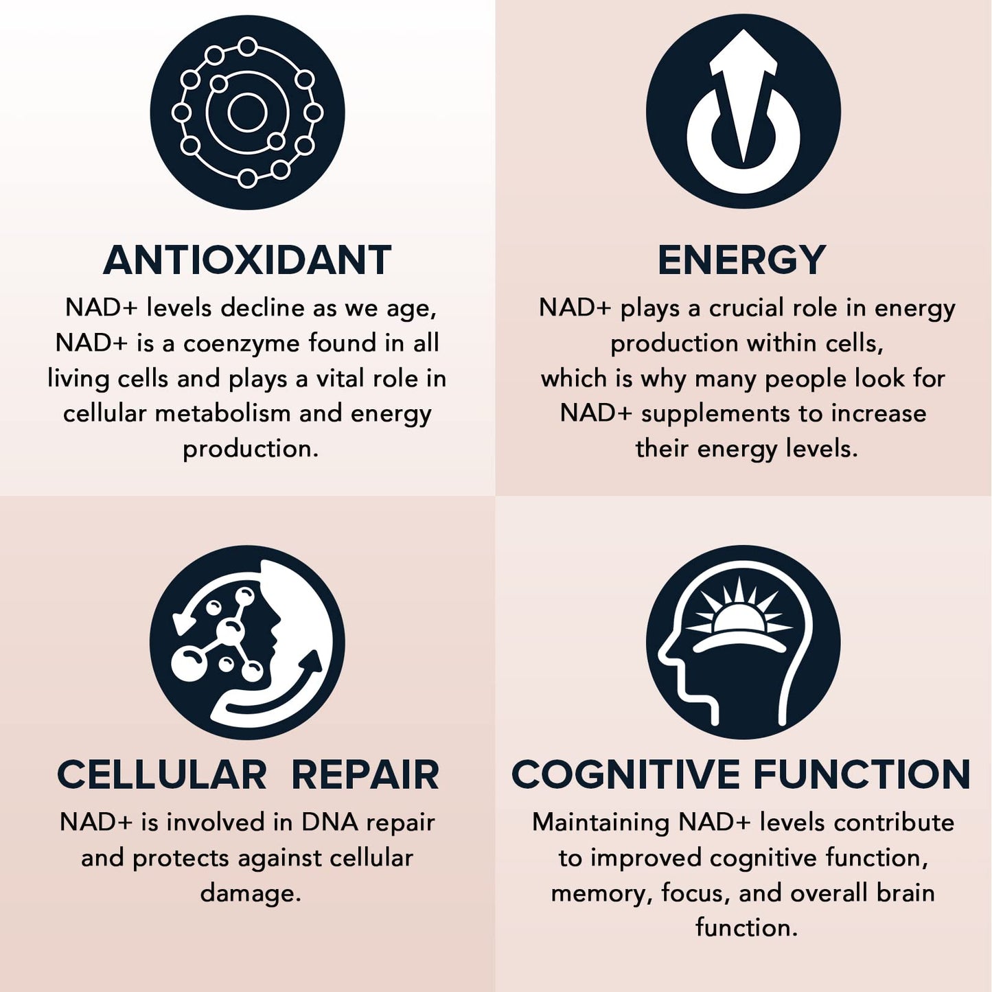 1600 mg Liposomal NAD+ Supplement – 98% Pure NAD+, Superior Absorption, 180 Softgels