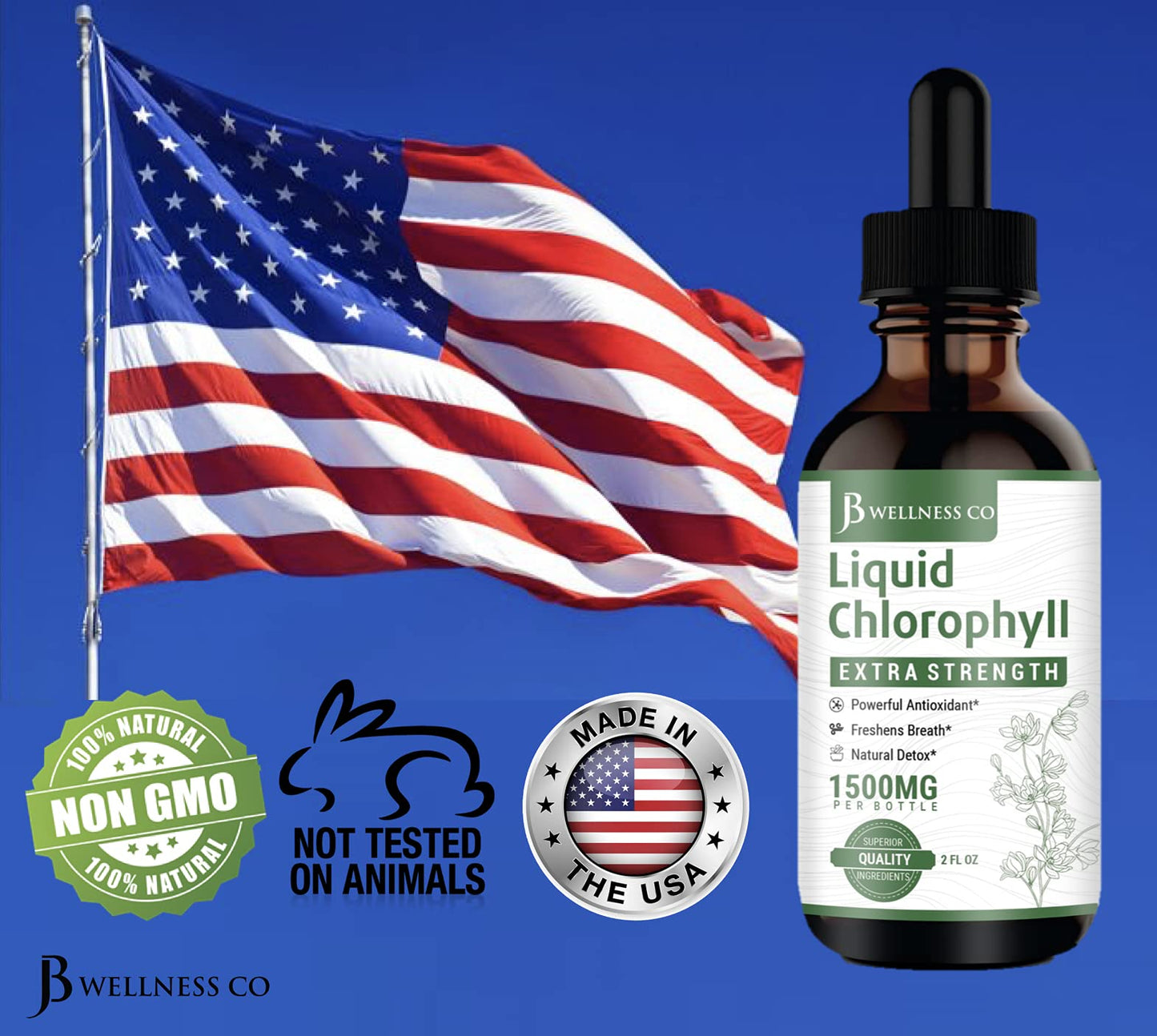 [2-Pack] Liquid Chlorophyll Drops – All-Natural Concentrate for Immune Support, Energy & Digestion | Mulberry Leaves - 240 Servings