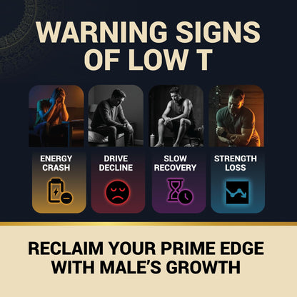 (2 Pack) Male's Growth for Men - Dietary Supplements (120 Tablets)