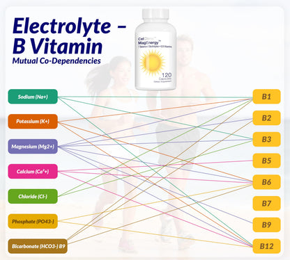 MagEnergy 7 Electrolytes + 8 Super B Vitamins | High Magnesium & Methyl B12