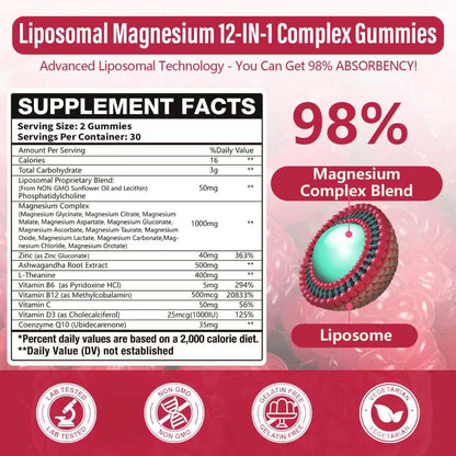 Liposomal Magnesium Complex Gummies 120 Ct – 12 Magnesium Forms + D3, B6, C, Ashwagandha & CoQ10
