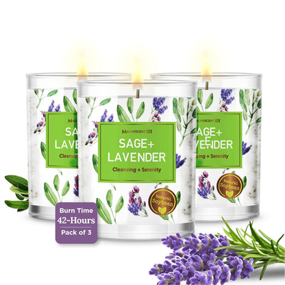 Magnificent 101 Soy Candle Set of 3 – Sage & Lavender, 3.5 oz Glass Jars, 42-Hour Burn