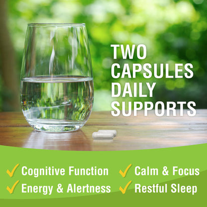 Magtein Magnesium L-Threonate Supplement – Memory, Focus & Sleep Support | 60 Veg Capsules