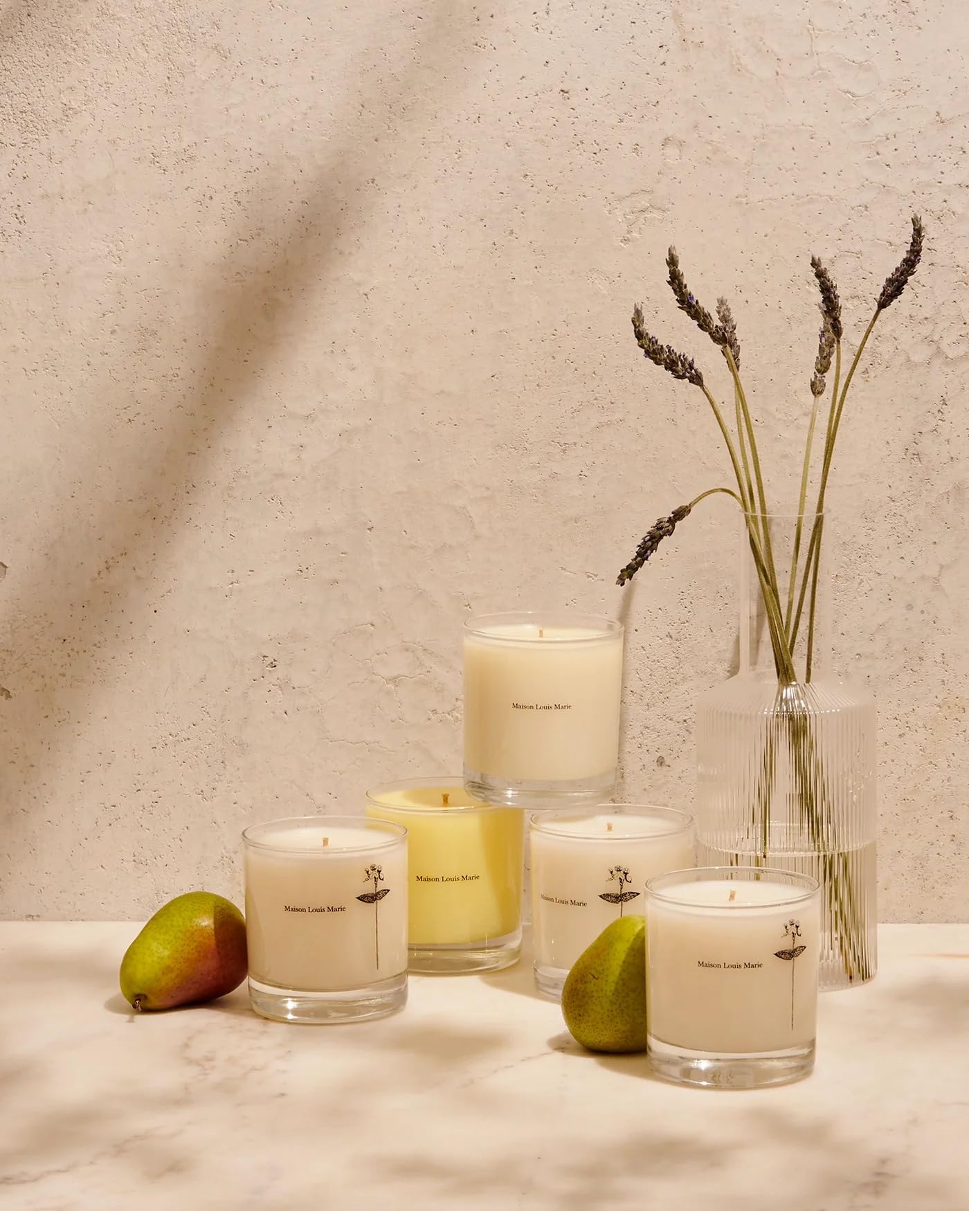 Maison Louis Marie - Antidris Jasmine Soy Wax Candle | Luxury Fragrances for a Modern World (8.5 oz | 240 g)