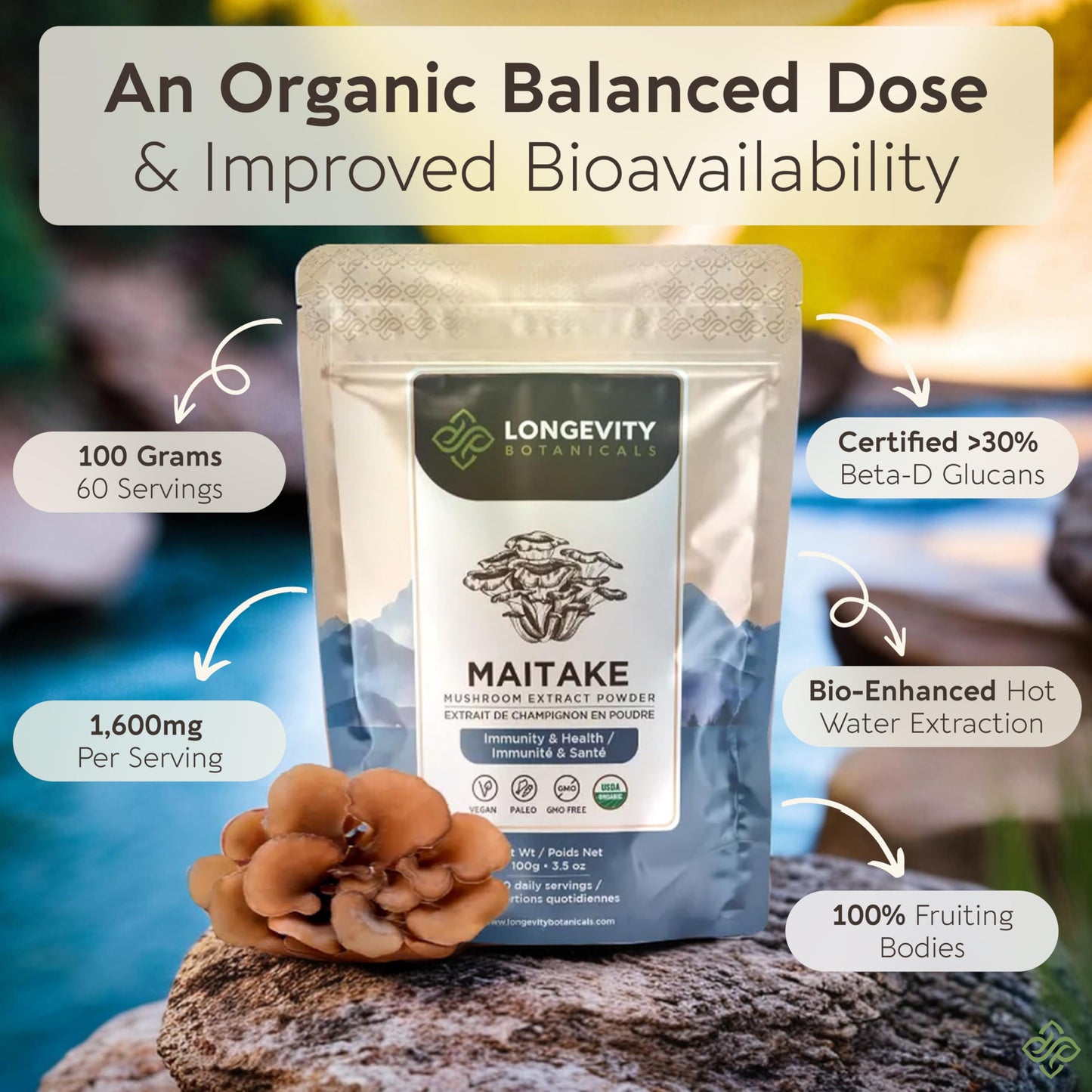 Organic Maitake Mushroom Powder 100g – 10:1 Extract | 16,600mg Raw per Serving | 30% Beta-D-Glucans