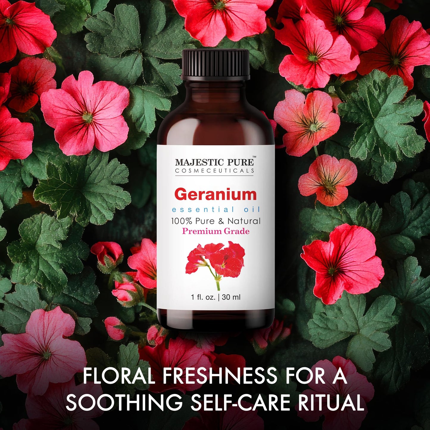 Majestic Pure Geranium Essential Oil - 100% Pure & Natural, 1 Fl Oz
