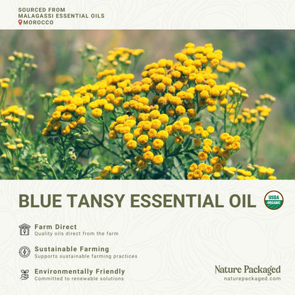 Organic Blue Tansy Essential Oil 5 mL – Malagassi Essential Oils | Face Oil, Candle & Soap Making