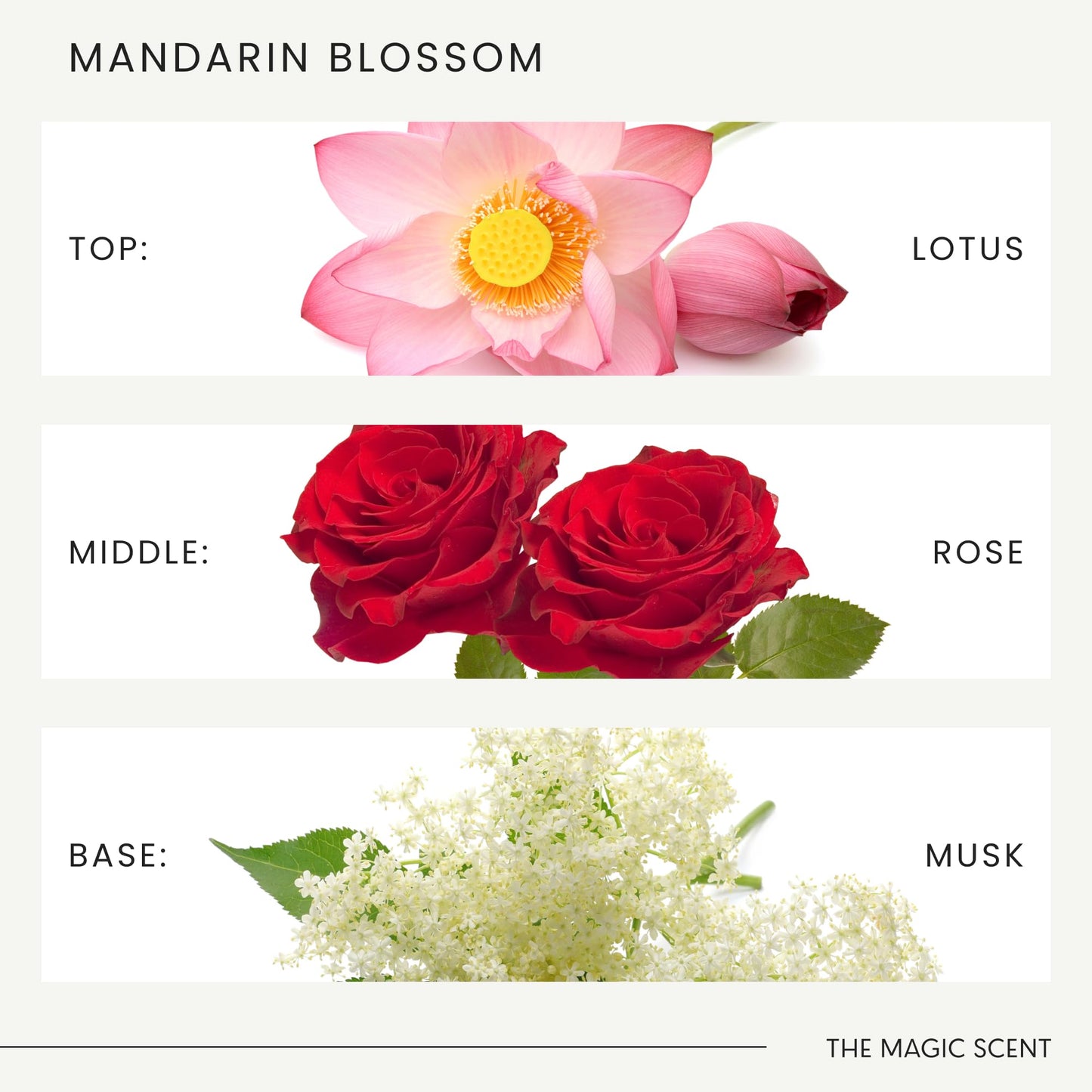 Mandarin Blossom Diffuser Oil - Maldives-Inspired Aromatherapy | Essentiala Oils 10 ml