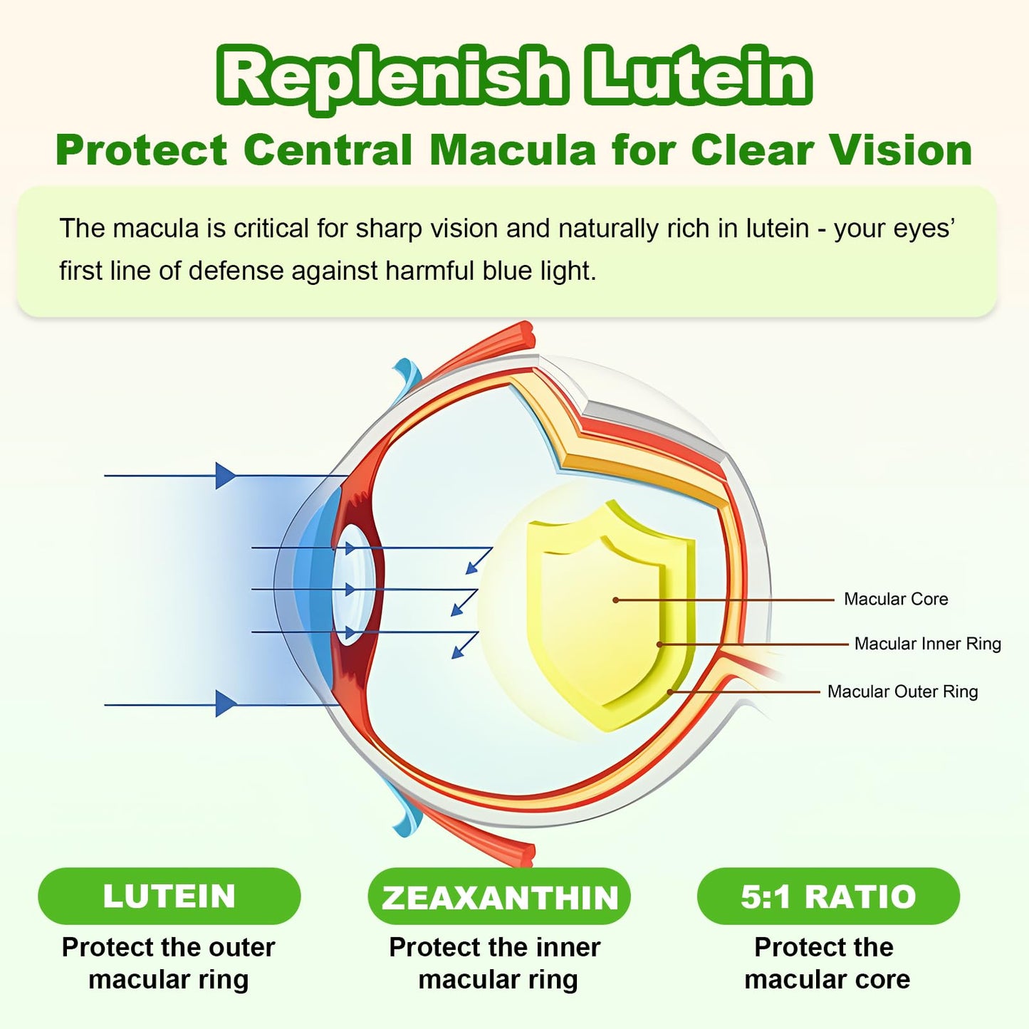 Sugar Free Lutein Gummies 25mg – Eye Health, 60 Count (Vegan)