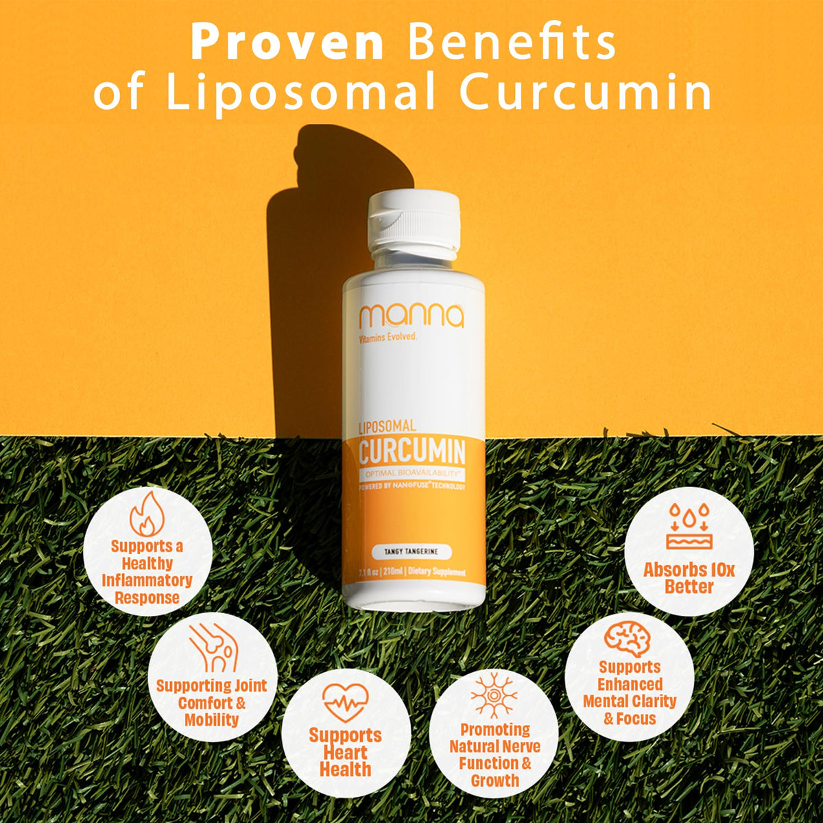Manna Vitamins Evolved Liposomal Curcumin – 95% Curcuminoids, Advanced Absorption, 3 Pack (Vegan, Non-GMO)