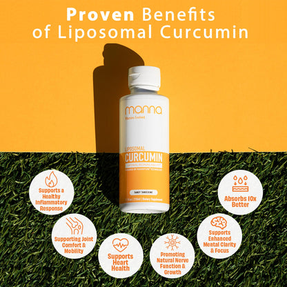 Manna Vitamins Evolved Liposomal Curcumin – 95% Curcuminoids, Advanced Absorption, 3 Pack (Vegan, Non-GMO)