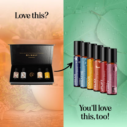 Maple Holistics Fall Essential Oils Set for Diffuser - 4x30mL Pumpkin Spice, Cedarwood, Vanilla Spice & Focus