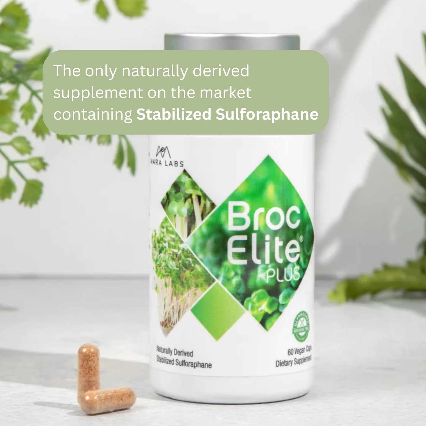 BrocElite Plus by Mara Labs – Stabilized Sulforaphane Broccoli Supplement, Glyphosate-Free, 60 Veg Capsules
