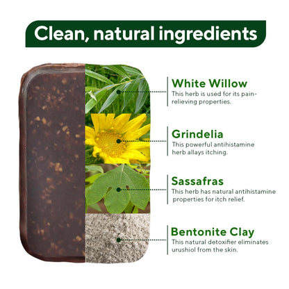 Marie Originals Poison Ivy Bar | All-Natural Anti-Itch Soap (2-Pack)