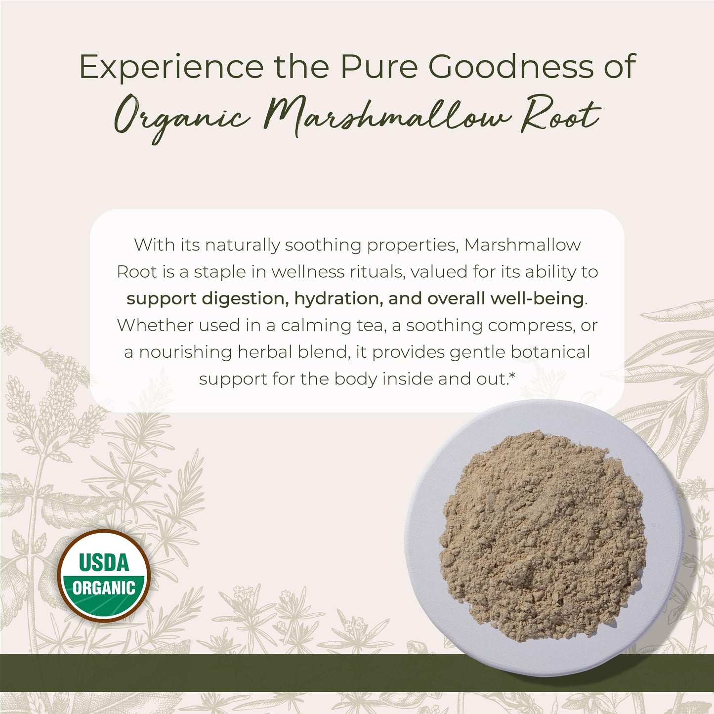 Starwest Organic Marshmallow Root Powder - 1 lb | Kosher, Non-GMO
