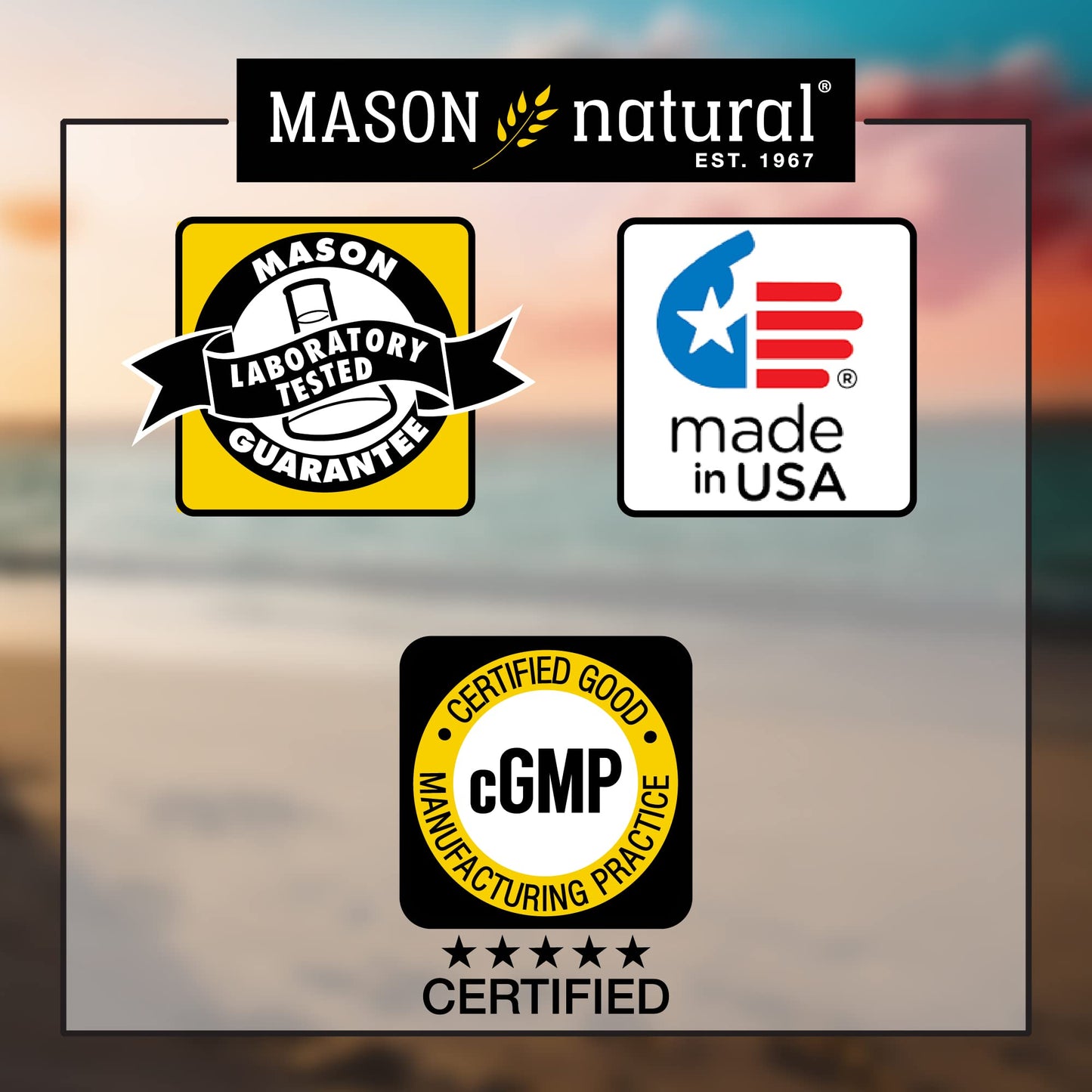 Mason Natural Turmeric 500 mg – 95% Curcuminoids, Joint Support, 60 Veggie Capsules (Pack of 2)